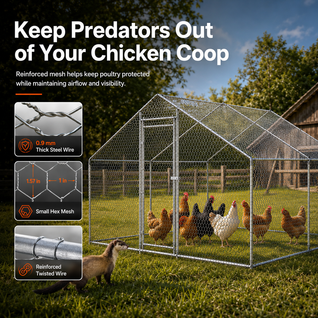Large Metal Chicken Coop