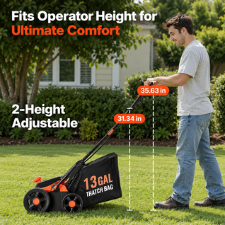 2-in-1 Electric Dethatcher and Scarifier