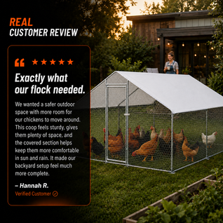 Large Metal Chicken Coop