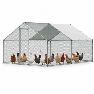 Large Metal Chicken Coop