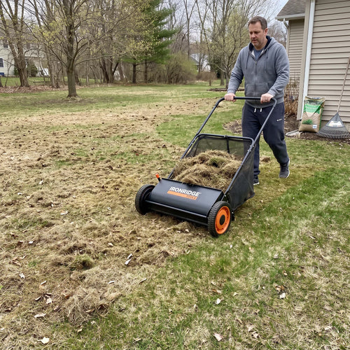 Push Lawn Sweeper